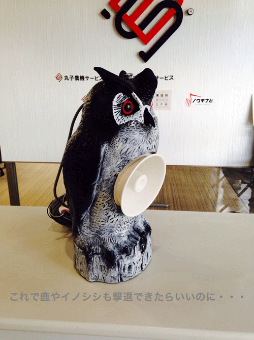 鳥害対策用ふくろう