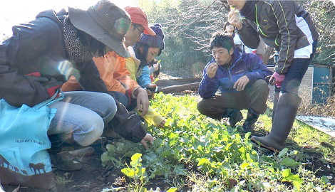 アグリイノベーション大学校