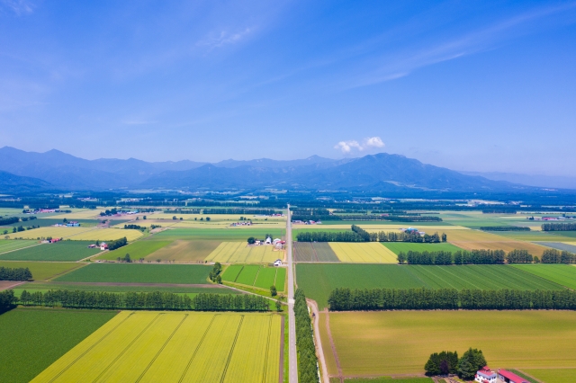 農場空撮