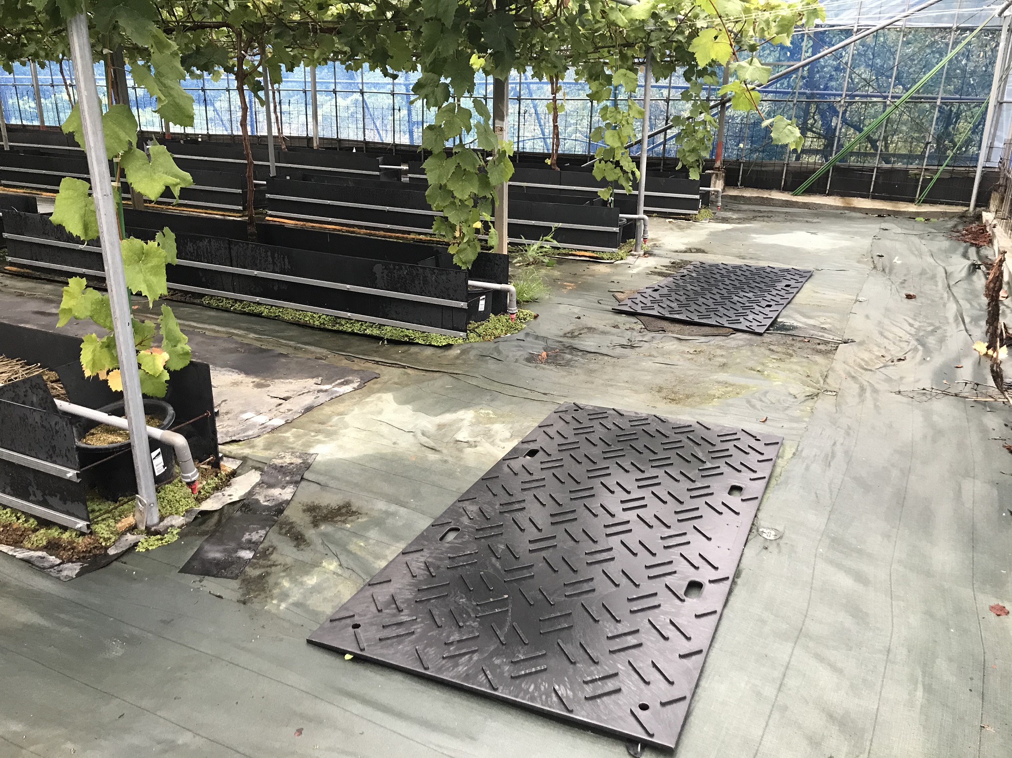 リプラギ®フロアーマット