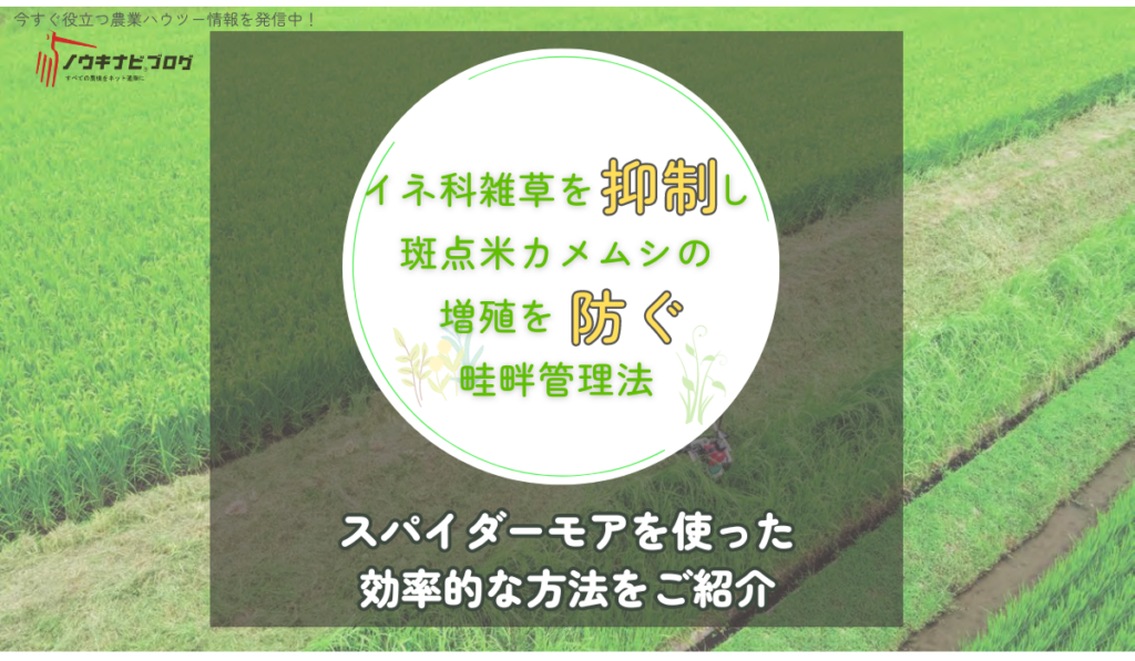イネ科雑草を抑制し、斑点米カメムシの増殖を防ぐ畦畔管理法