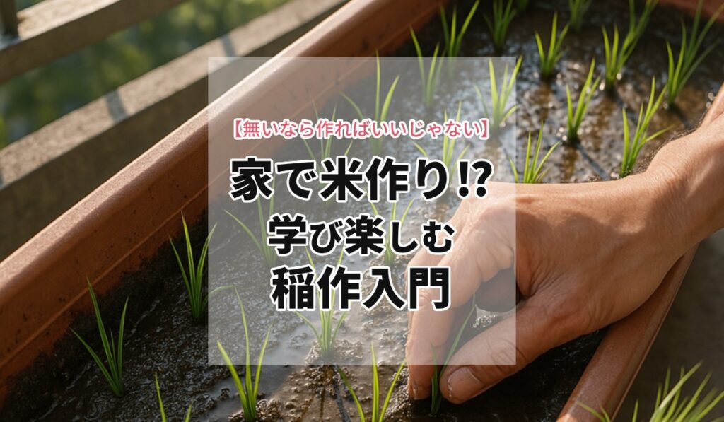 米不足？無いなら作ればいいじゃない！家で米作り!?学び楽しむ稲作入門