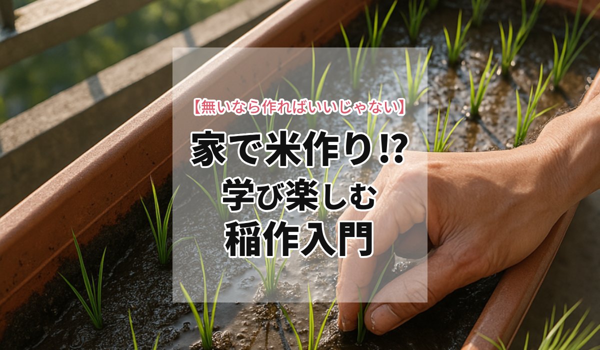 米不足？無いなら作ればいいじゃない！家で米作り!?学び楽しむ稲作入門