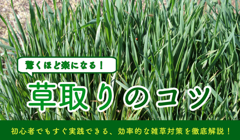 驚くほど楽になる草取りのコツ 初心者でもすぐ実践できる、効率的な雑草対策を徹底解説