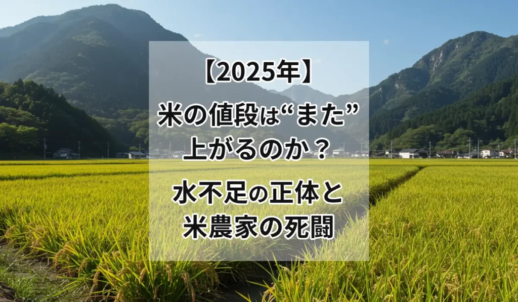 2025年、米の値段は“また”上がるのか？食卓を脅かす『静かな水不足』の正体と、米どころの死闘